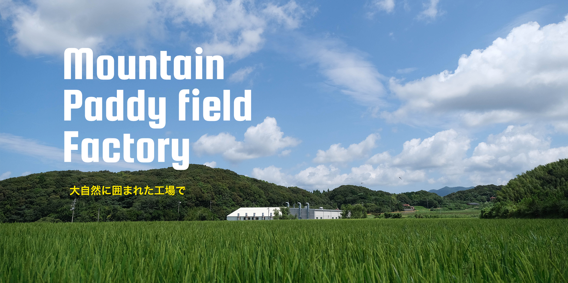 Mountain Paddy field Factory　大自然に囲まれた工場で