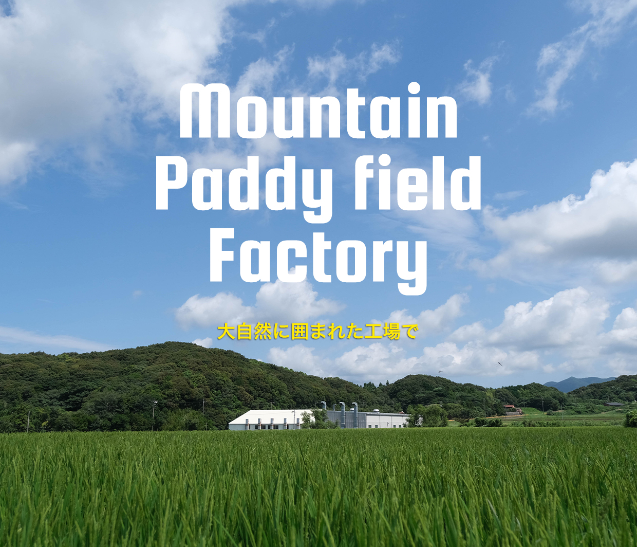 Mountain Paddy field Factory　大自然に囲まれた工場で